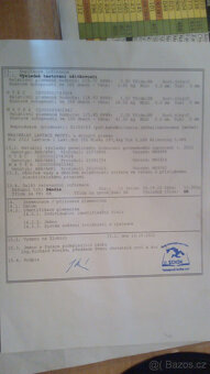 Ovce - 5
