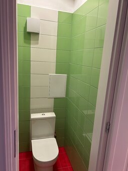 Studentský byt nebo byt pro samoživitelky - 5