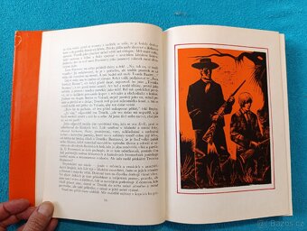 DÍTĚ DIVOČINY - M.K.Rawling - 5