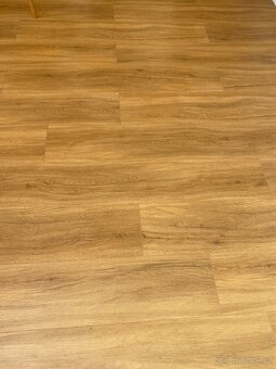 Parador Basic 5.3 - DUB SIERRA PŘÍRODNÍ KARTÁČOVANÝ 4V - vin - 5