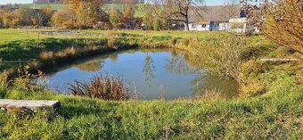 Prodej, rodinný dům, Slavíkovice, 12997m2, okres Klatovy - 5