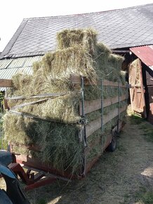 Male baliky sena - 5