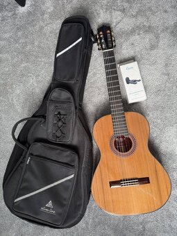 NOVA kytara martinez mc-48c - 5