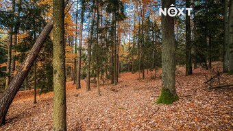 Prodej pozemek Lesy, 13718㎡ - 5