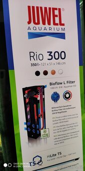 Akvarium JUWEL Rio 300 - 350 litrů + ryby Tlamovec 40kusů - 5
