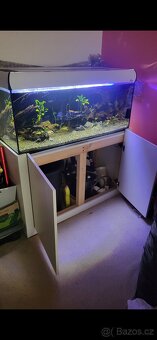 Akvarium 300l - 5