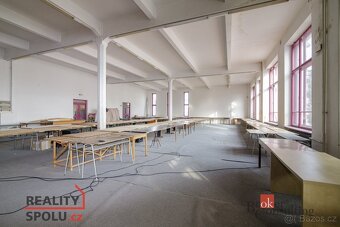 Prodej, domy/památka/jiné, 3090 m2, Mikulášská, Pod Bezručov - 5