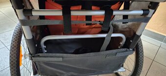 Qeridoo Sportrex 1 - 5