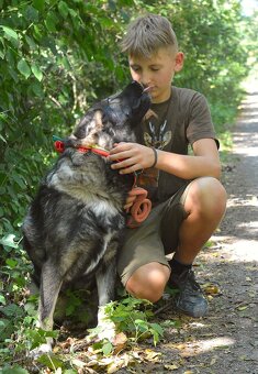 🐾 SIMBAD – energický hrdina s velkým srdcem - 5