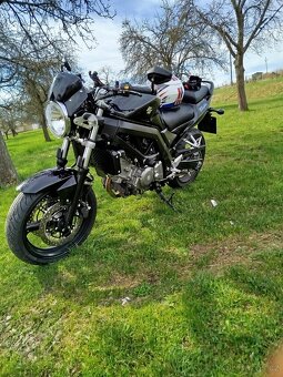 Suzuki SV 650 - 5