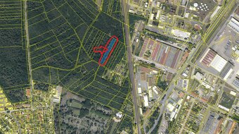 Prodej lesního pozemku k.ú. Kolín - 5