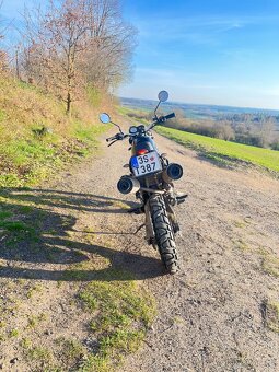Honda slr650 scrambler - 5
