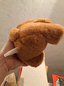 Plyšový medvídek - 25 cm - 5
