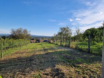 Zahrada Vracov 860m² - 5
