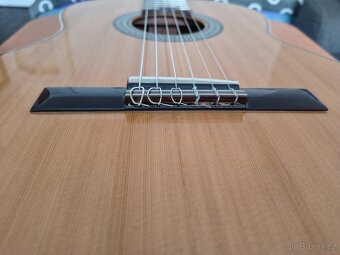 Klasická kytara ALHAMBRA 2C - 5