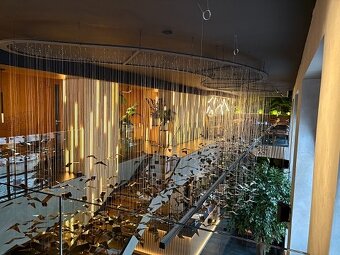 Trofejní nemovitost v centru Hradce Králové - 5