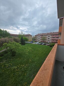 BYT PŘED REKONSTURKCÍ 2+1 - 5