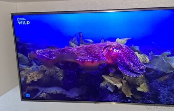 Prodám TV LG49LH615V - 5