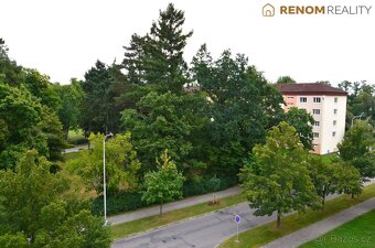 Prodej bytu o dispozici 3+1 s lodžií, ul. sídl. Svobody, Pro - 5