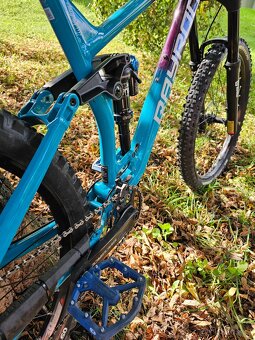 Qayron Carma MkII En 1f 27.5" - 5