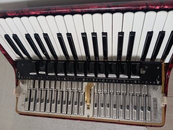 akodeon delicia - 5