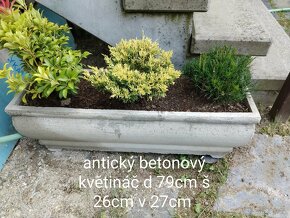 Antický betonový obdélníkový květináč - 5