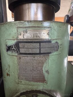 Lis - 5