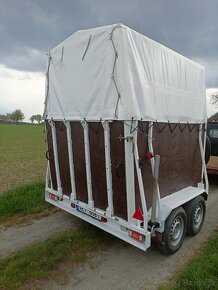 Pronájem přepravníku, přeprava zvířat , auto přepravník., - 5