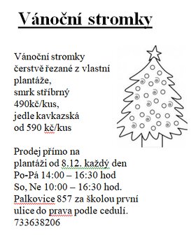 svazek větví jedle kavkazská borovice vánoční stromek - 5