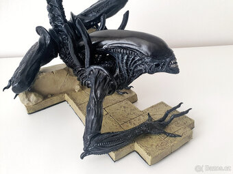 Warrior Alien 1/6 - AVP - Vetřelec - 5