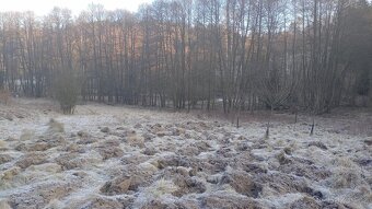 Pozemek 6962 m² Kořenov 167 Kč/m2 - 5