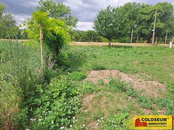 Božice, zahrada, 1119m2, oplocená, elektřina na pozemku - po - 5