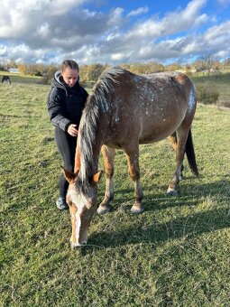 Prodám / vyměním - 5