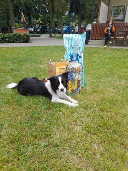 Nabidka kryti bez pp - 5