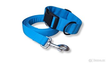 Obojek, vodítko, postroj - 5