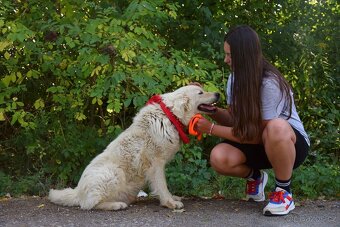 Coraz hledá domov - 5