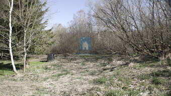 Prodej pozemku Horní Vltavice, okres Prachatice 8046 m2 - 5