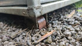 Voliéra/klec - pozink - 5