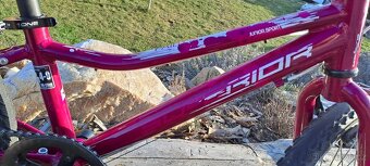 Superior Paint 20"- PĚKNÉ - 5