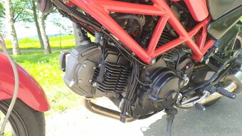 Ducati Monster 695 - 5