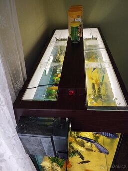 Akvarijní set - akvárium 200l + skříňka, nebo jen akvárium - 5