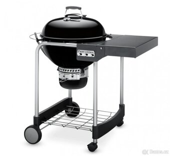 gril Weber Performer GBS - 5