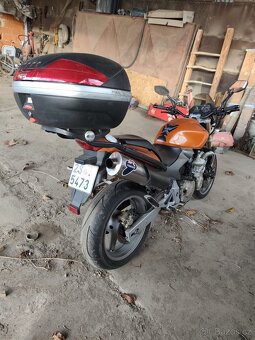 Honda Hornet 600 - 5