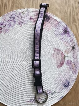 Obojek pro psa nový - 5