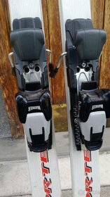 2x lyže, Fischer a Lamberto - 5