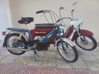 Babeta 207 - 5