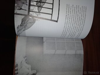 Astrid Lindgrenová knihy Jižní louka- nová, Bratří lví srdce - 5