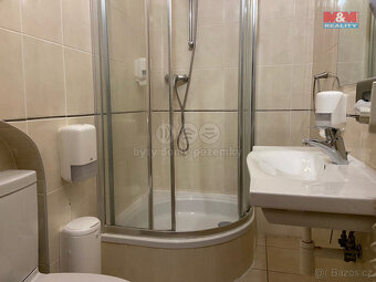 Pronájem apartmánu, 110 m², Plzeň, ul. Zbrojnická - 5