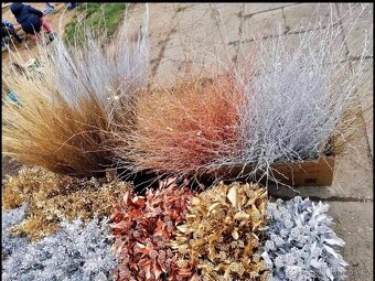 Vánoční Jmeli - 5