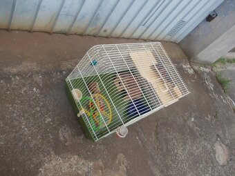 zoo klec - 5